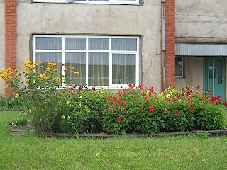 IMG_2309